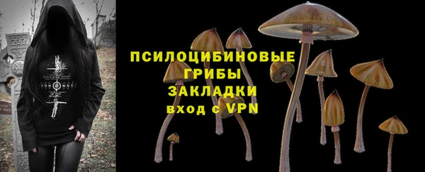 прущая мука Белая Холуница