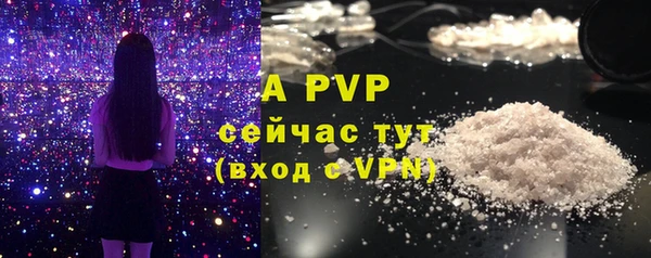 ECSTASY Белая Калитва