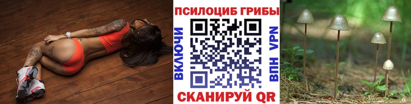 Галлюциногенные грибы Psilocybe  Кизел 